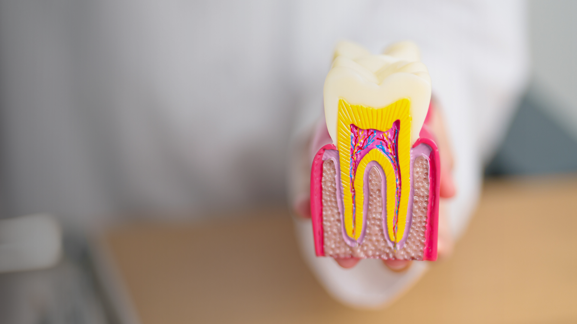 Signs You Might Need a Root Canal: What to Watch For